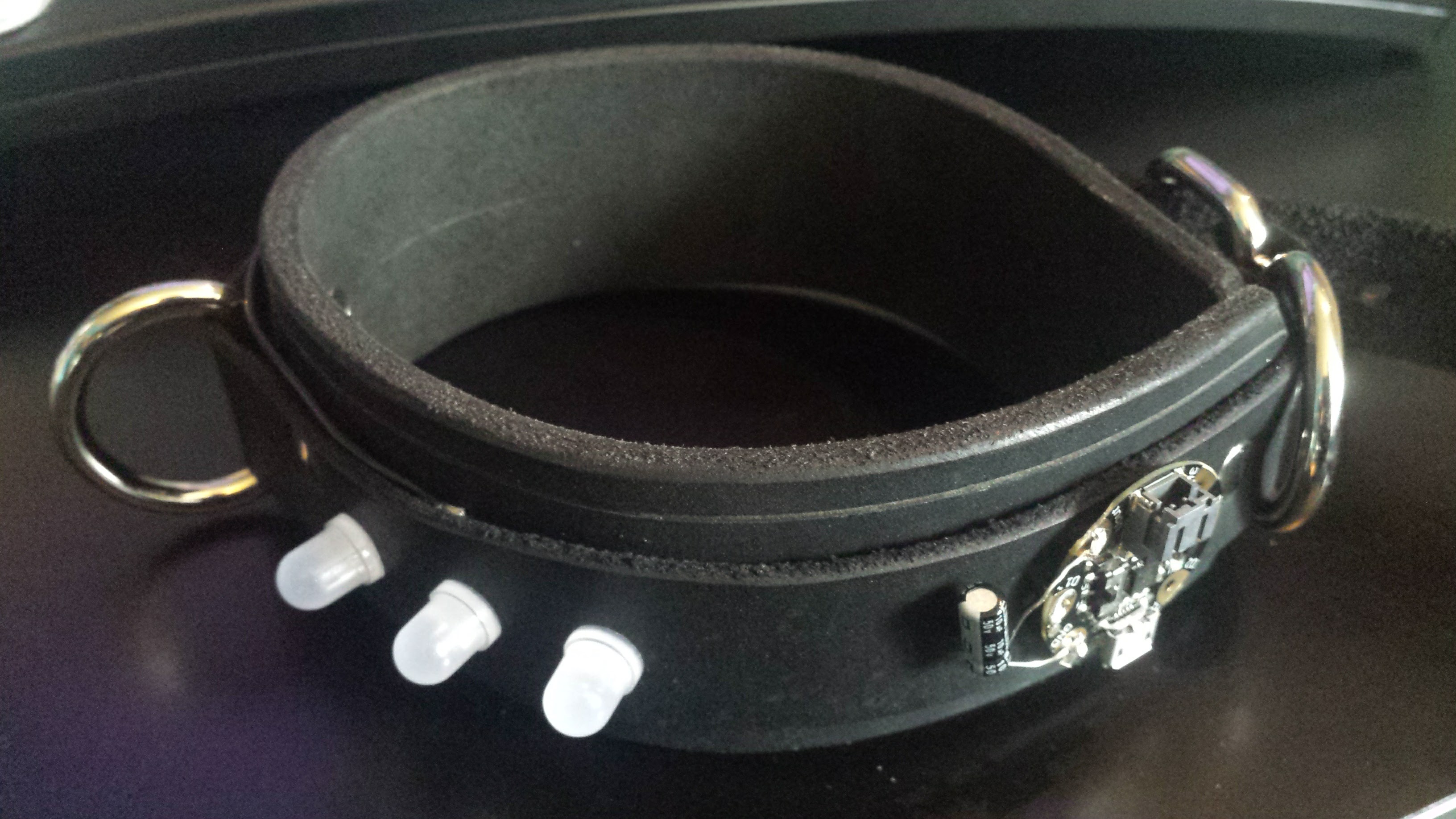 A leather collar with a D ring in the front.  LEDs have been mounted on the collar. and a small microcontroller has been mounted near the buckle
