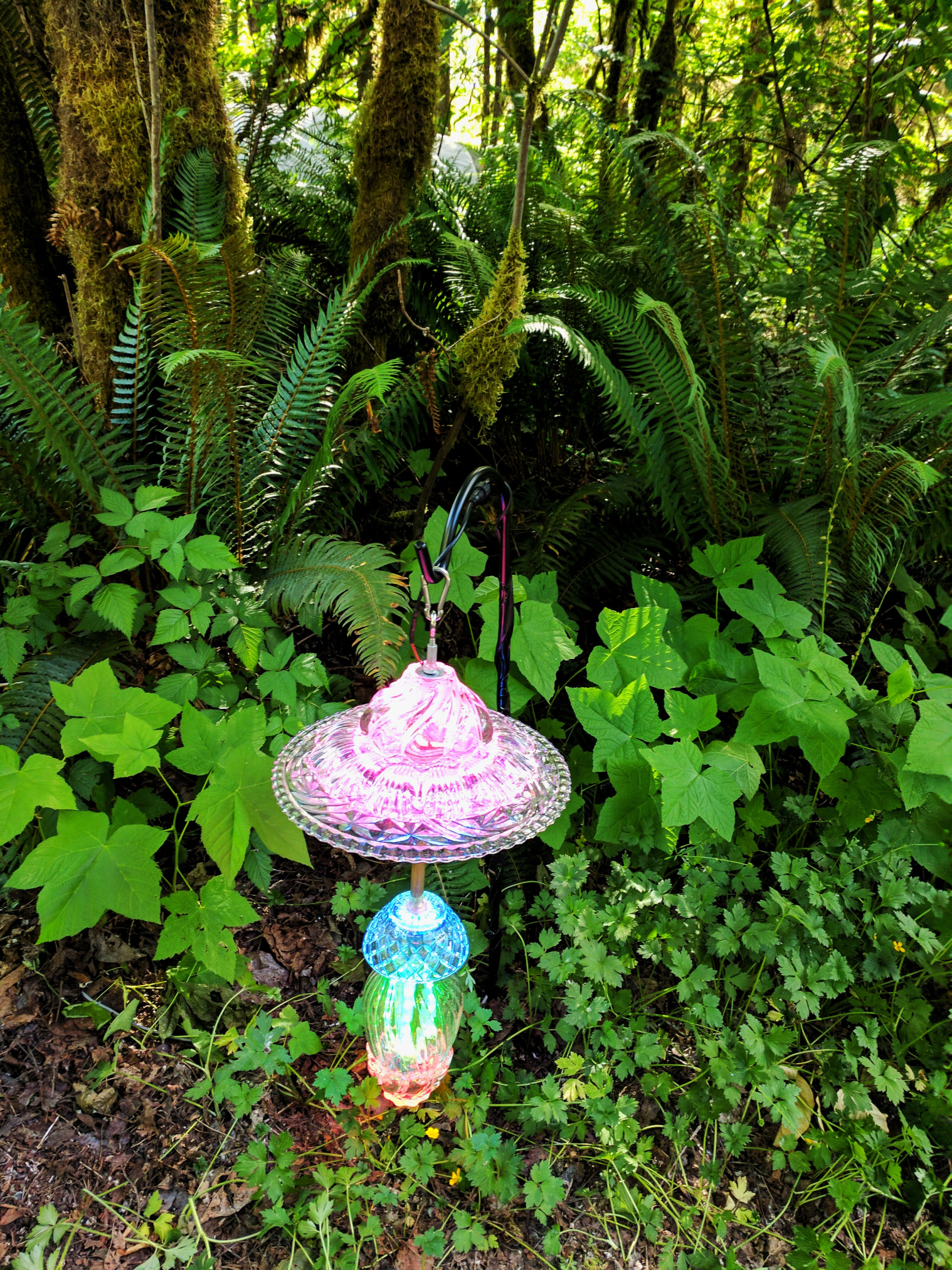 The gently glowing lantern, hanging from a small shepherd's hook in the forest, with ferns, trees, and moss in the background, during the day.